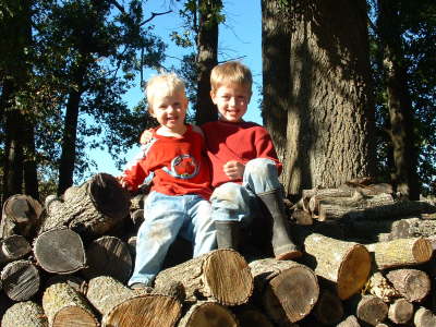 2003 Lampe Family reunion